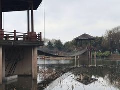 -荷塘月色湿地公园·向阳花洲