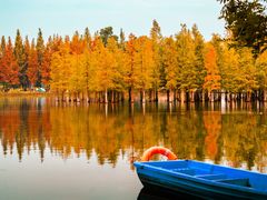 -白鹭湾湿地公园