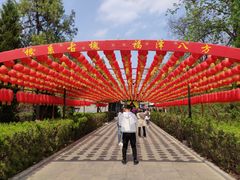 -大槐树寻根祭祖园