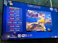 -合肥海洋世界