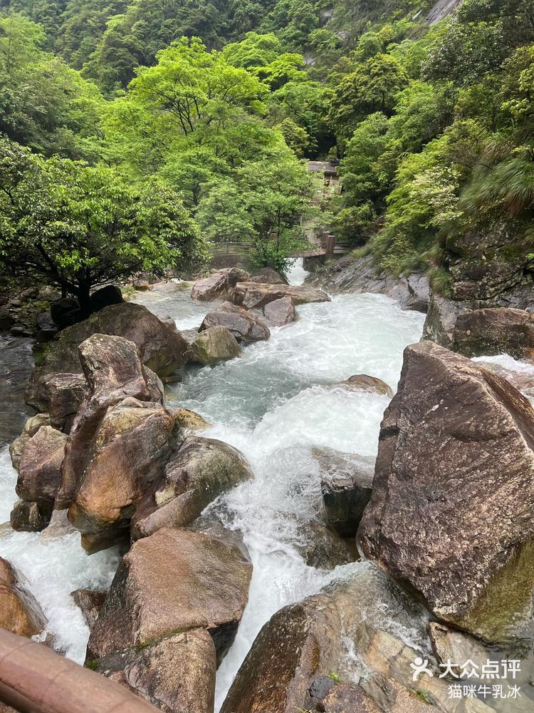 大鄣山卧龙谷旅游区图片