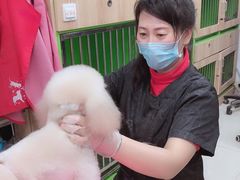 -米卢宠物公园(广华居店)