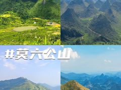 -黄埔油麻山森林公园