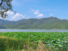 -东钱湖旅游度假区