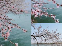 -颐和园