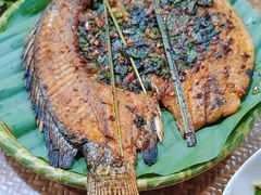 -沐毫傣泐云南菜孔雀宴•手抓饭傣味烧烤(曼听店)