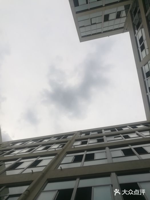 麦当劳(仙林亚东城得来速店)图片