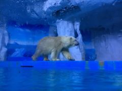 -多彩贵州城极地海洋世界