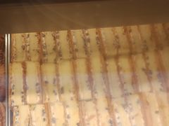 -彭记优口(王府井购物中心店)