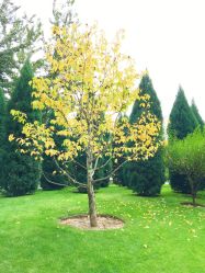 -大望京儿童游乐场