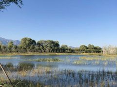 景点-野鸭湖国家湿地公园