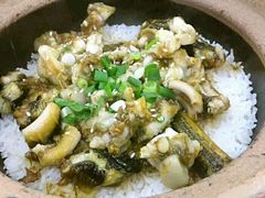 -红星光发煲仔饭(大石街店)