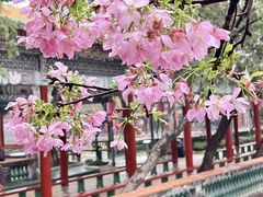 -宝墨园景区