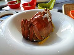 -蟹榭·本帮江浙菜·蟹宴(五角场合生汇商场店)