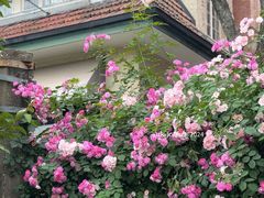 -常熟路(地铁站)