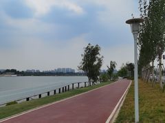 -灞河西岸滨河公园