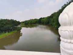 -海珠湖公园
