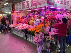 -花鸟鱼虫鲜花绿植市场(玉泉路店)