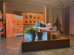 -端艾堂·SPA·艾灸(棕榈泉013店)