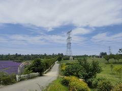 -紫颐香薰山谷景区