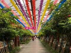 -南宫五洲植物乐园