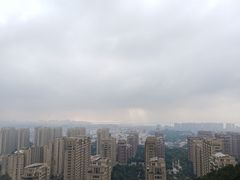 -青岛市李沧剧院