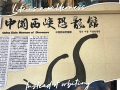 -中国西峡恐龙遗迹园