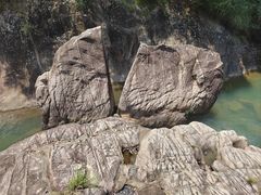 -广州白江湖森林公园