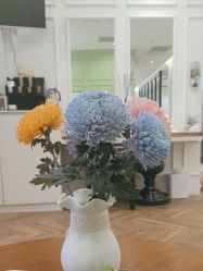 -丁和李朴美发沙龙