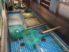 -壹只菜·崇明本地特色菜(崇明南门店)