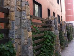 iphone_upload_pic-泰丰公园