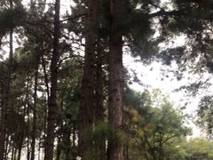 -万佛湖风景区
