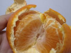 -果蔬好生活超市(乐堤港店)