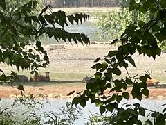 -南海子公园