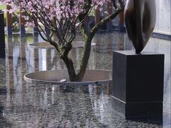 -静安雕塑公园