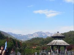 -田野绿世界