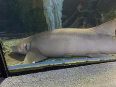 -太平洋海底世界