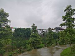 -都江堰玫瑰花溪谷