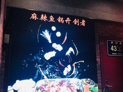 -舒来喜鱼锅(伊河路店)