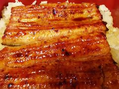 -料亭菊水楼