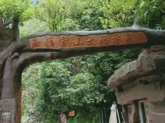 -西岭雪山大飞水景区