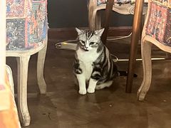 -咖法森林·咖啡  酒吧(天河店)