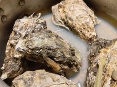 -那些年记忆烧烤