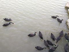 -天津东丽湖风景区