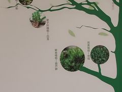 -广东中医药博物馆