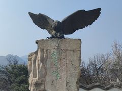 -北京鹫峰国家森林公园