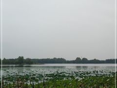 -东湖落雁景区