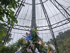 -野象谷景区