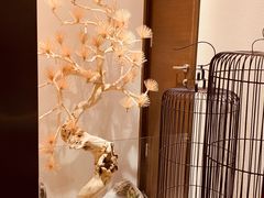 -悦融·京鲁菜·露台花园(安定门店)