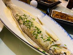 清蒸白鱼-香雪海饭店中餐厅(人民桥店)